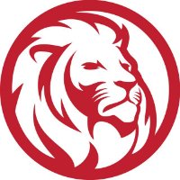 狮子科技