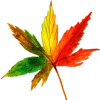 敏思数据
