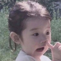 赫本软件开发