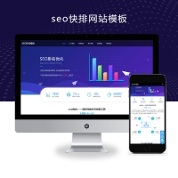 SEO推廣類迅網(wǎng)站模板