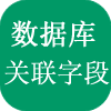 数据库关联自定义字段