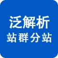 泛解析站群系统