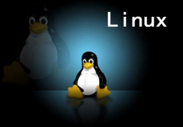 Linux系统环境配置