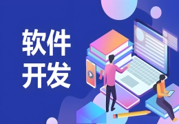 迅睿二次开发/插件开发/模板定制/软件开发