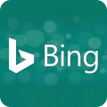Bing站长数据