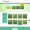 苗木种植绿色农业林业草坪草皮