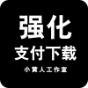 支付下载管理