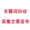 自定义关键词采集组合文章