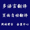 全站页面翻译