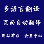全站页面翻译