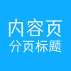 内容页分页标题