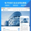 电子科技行业企业网站模板q563