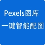 Pexels无版权配图