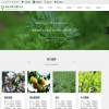 响应式绿化花木果苗类网站模板(自适应手机端)