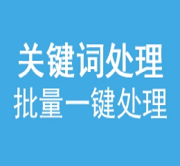 txt内关键词数据一键去重复词去空格