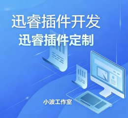 迅睿插件开发，迅睿功能开发定制